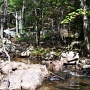 Petit ru dans le parc Acadia